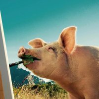 Pigcasso (@pigcassohoghero) 's Twitter Profile