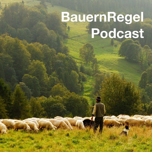 Der BauernRegel Podcast bringt dir (fast) täglich eine neue #BauernRegel in deinen Podcatcher der Wahl - 
Hier twittert der @pokipsie