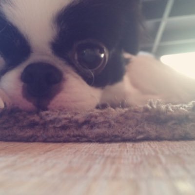 takuro56561's profile picture. 