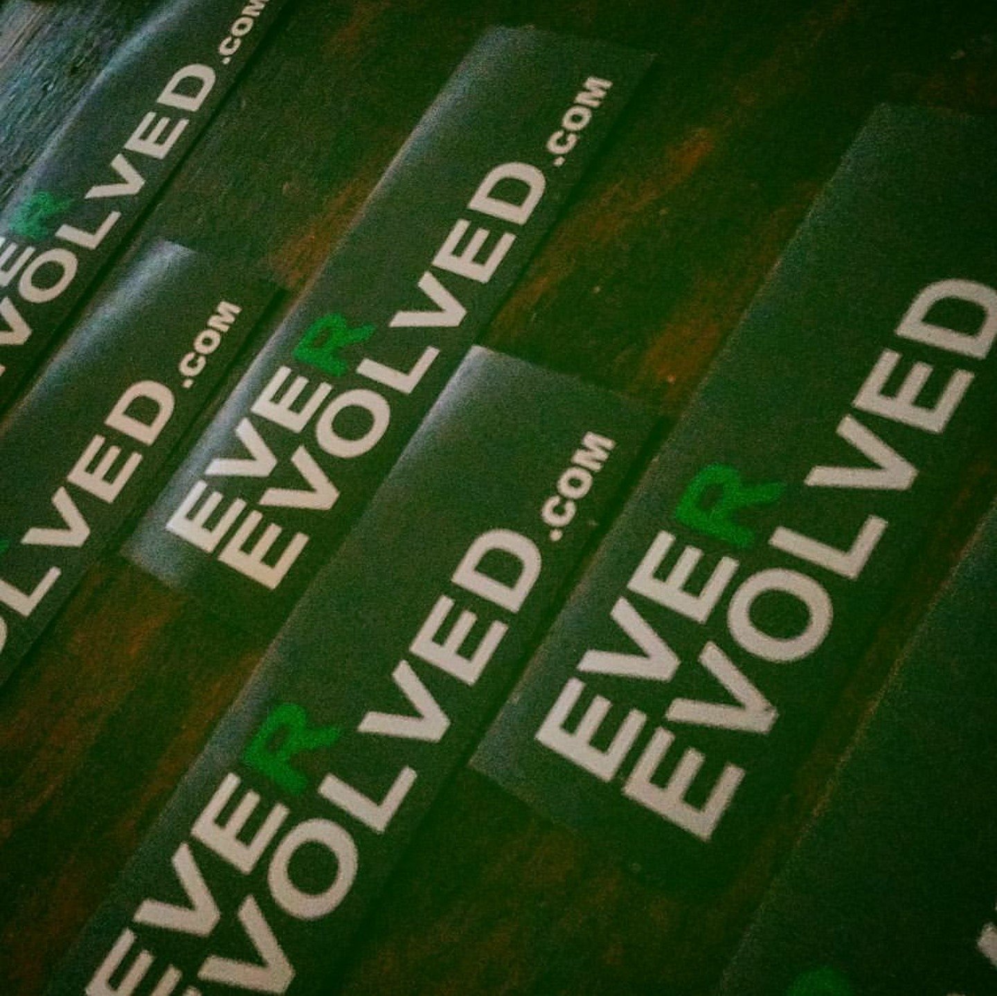 Ever Evolved is a Chicago based music studio, media and entertainment center.
Focused on promoting conscious creative music and art locally and globally.