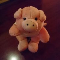 大吾 (@uniform_daigo) 's Twitter Profile