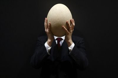 PascalRoulin's profile picture. 
