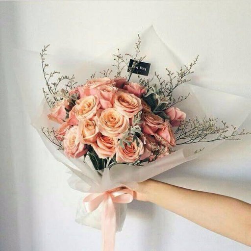 RamaLinia's profile picture. 