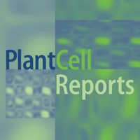 Plant Cell Reports (@plantcellrep) 's Twitter Profile Photo Plant Cell Reports (@plantcellrep) 's Twitter Profile Photo