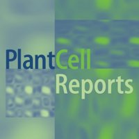 Plant Cell Reports(@PlantCellRep) 's Twitter Profile Photo