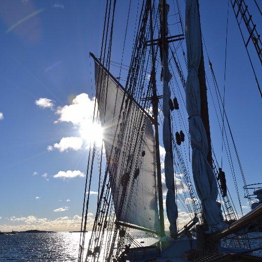 BoSjoholm's profile picture. 