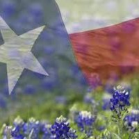 News CollinCountyTX (@collincountydfw) 's Twitter Profile Photo