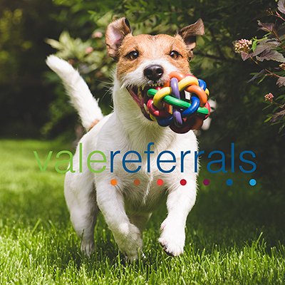 Vale Referrals is a long established specialist led veterinary referral centre providing veterinary referrals to the South West, Wales, Midlands for 20+ years.
