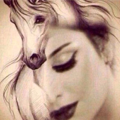 SulaimanShatha's profile picture. 