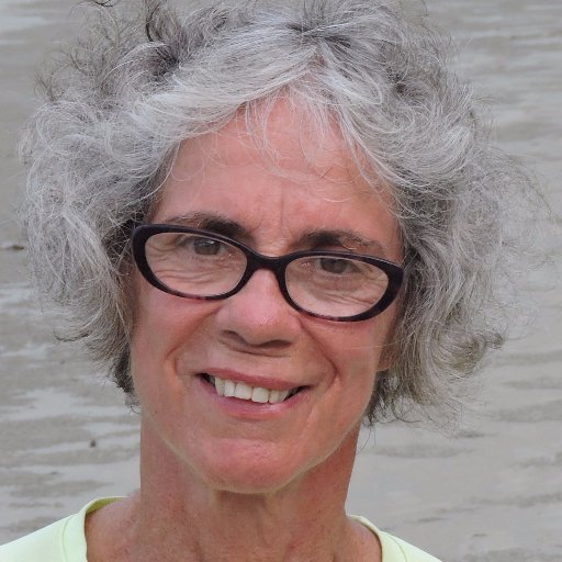 salmerigi's profile picture. 