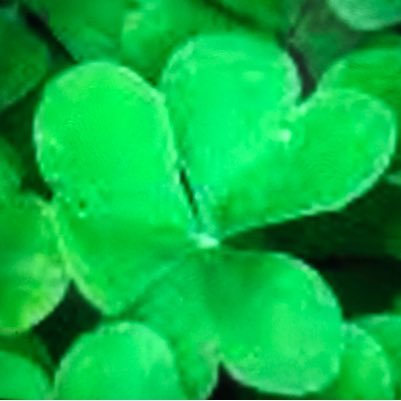 gahagan_o's profile picture. UNITED states of America.. Freedom and Diversity.. Unite and Resist. Love trumps hate ♥️. VOTE ! Blue Wave 2020! no DMs please