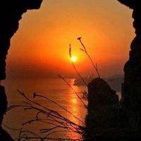 Marie Take β π· (@mariebisson67) 's Twitter Profile
