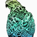 casey michael wisden - @CaseyMichaelW - Twitter