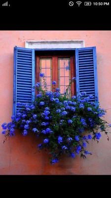 nadosh19982017's profile picture. 