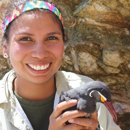 Biologist💚Associate Researcher in Punta San Juan Program,Peru🌍Tracking Seabirds in Peru #ppsj #foraging #tracking #conservation #breedingsuccess #WSTC5