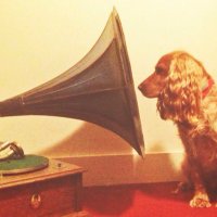 Sound Fowndations (@soundfowndation) 's Twitter Profile Photo Sound Fowndations (@soundfowndation) 's Twitter Profile Photo
