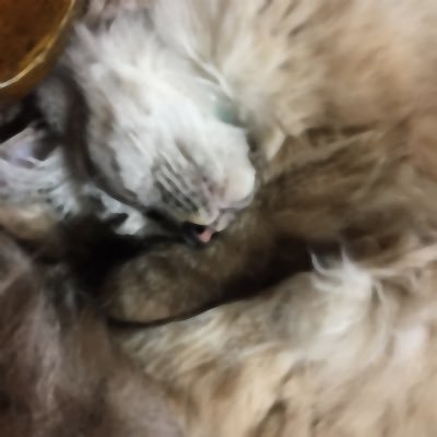 かなた