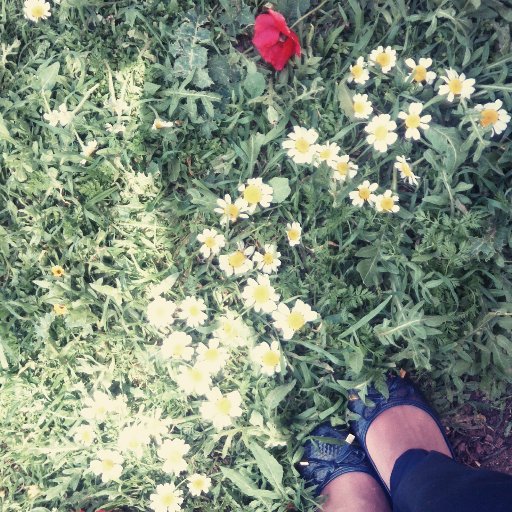 Safia_89's profile picture. 