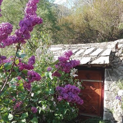 Ibuzzy2's profile picture. 