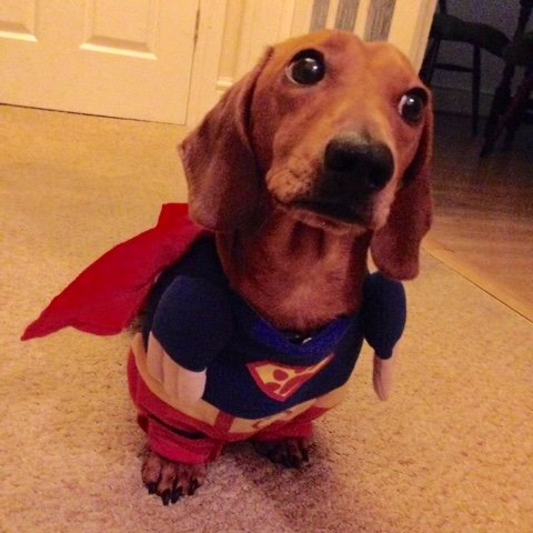 scgranell's profile picture. 