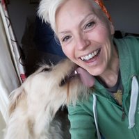 Joy McNally-Bells (@joybellsjingle) 's Twitter Profile