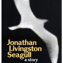 VStevk's profile picture. I fart in your general direction!