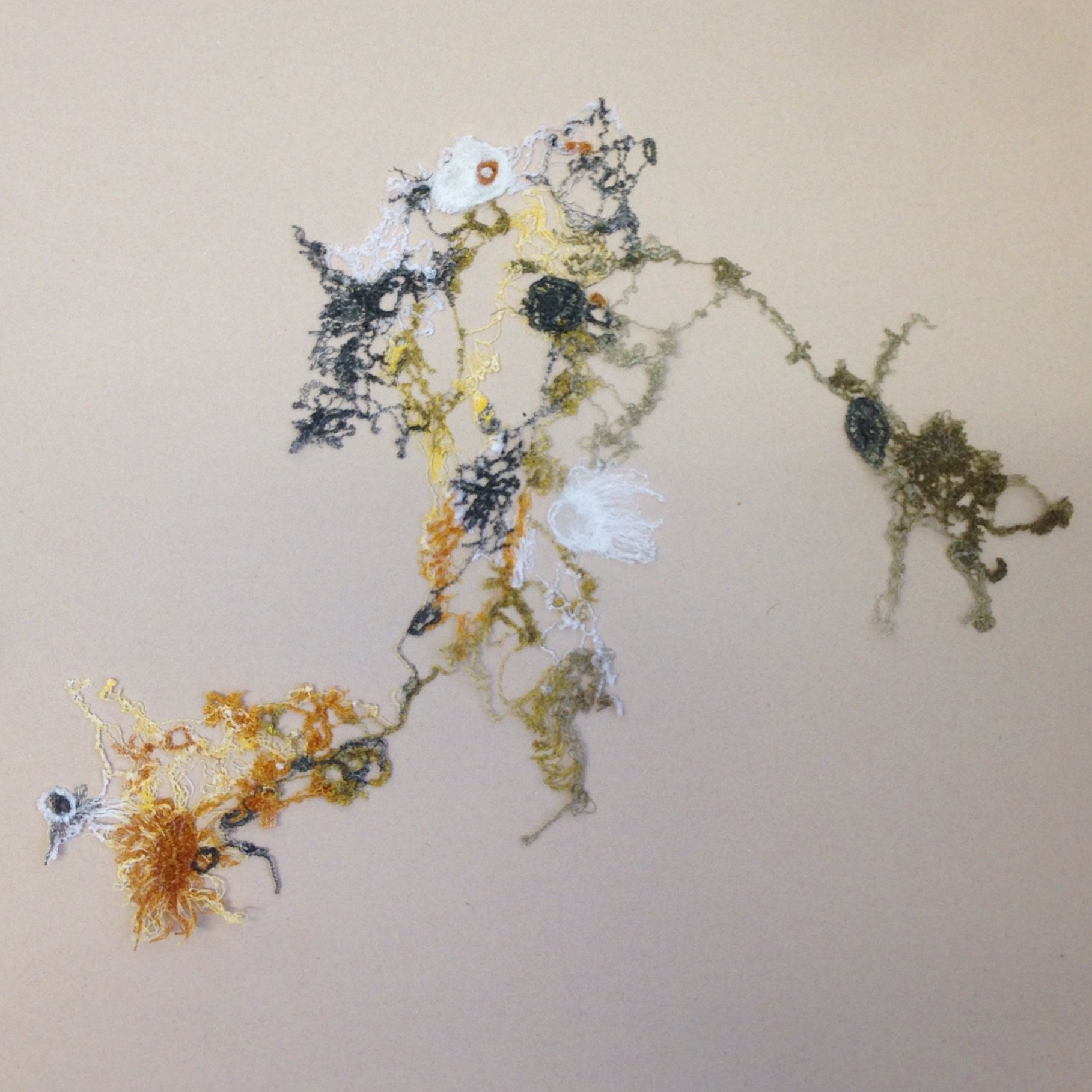 Textile artist working from my Studio in Bristol. Inspired by the natural world, from mould to creatures and everything inbetween