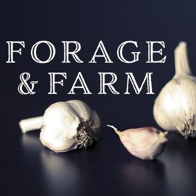 Forage & Farm is an organic farm based on permaculture principals. Our Farm is located at the base of the Rocky Mountains in Alberta.