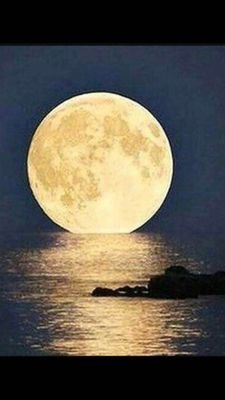 Abdullahz5's profile picture. 