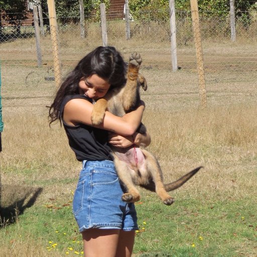 kathikabooom's profile picture. Estudiante de Artes Visuales .