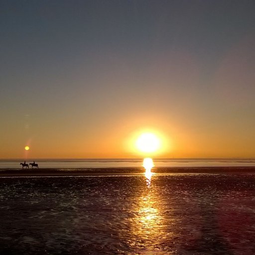 eostrio's profile picture. 