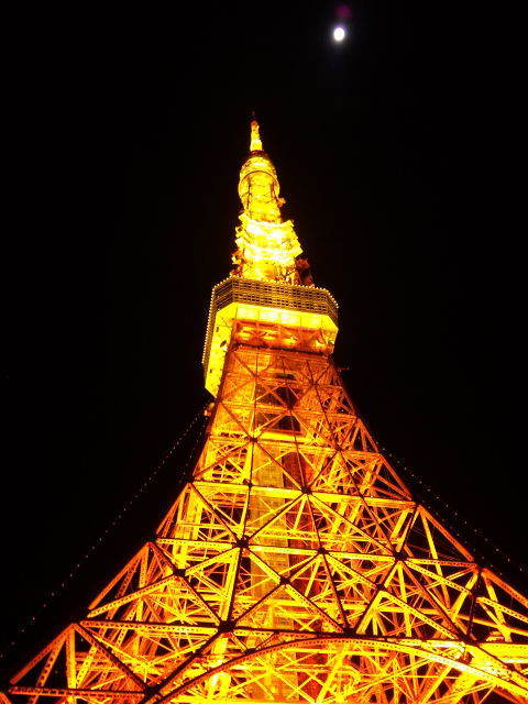 puszia's profile picture. あつもりやってます。まだまだな島ですがよろしくお願い致します🙇‍♀️スプラにも手をだしてしまいました😅

１に確認　２に確認とやりますがたまに。。。やらかします。。。😭