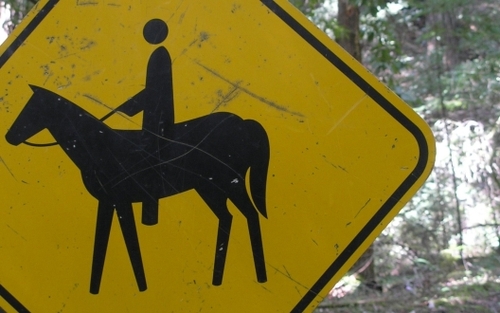 jawagas's profile picture. 