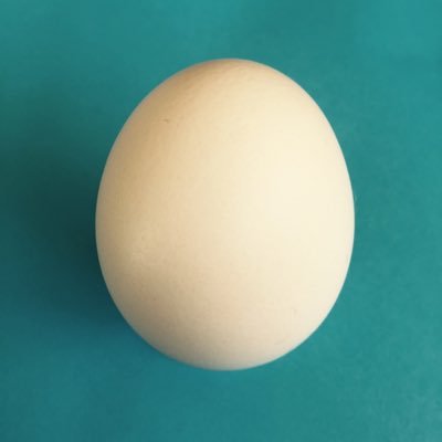 tamanoumi2525's profile picture. 