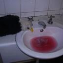 Eric Eagle - @TravellingEric - Twitter