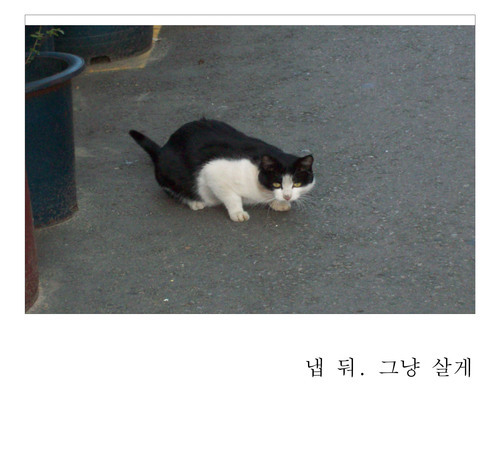 quietclock's profile picture. 