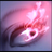 haylzpascoe's profile image