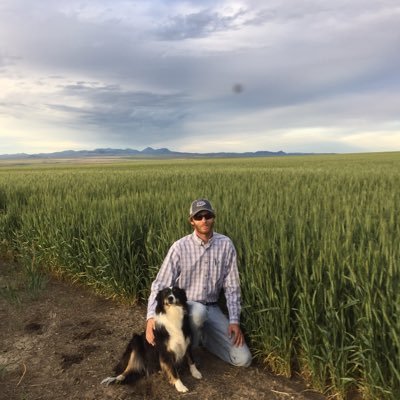 Farmer, BigIron Sales Rep, Real Estate Agent in North Central Montana.