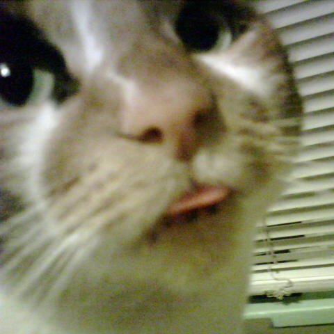 SaturdayInSnoq's profile picture. 