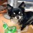 ayadroll's profile image