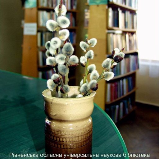 libr_rv's profile picture. Рівненська обласна універсальна наукова бібліотека