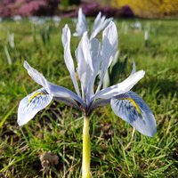 Hole Park Gardens (@holepark) Twitter profile photo
