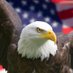 Deplorable D'Nice (@deplorablednice) Twitter profile photo Deplorable D'Nice (@deplorablednice) Twitter profile photo