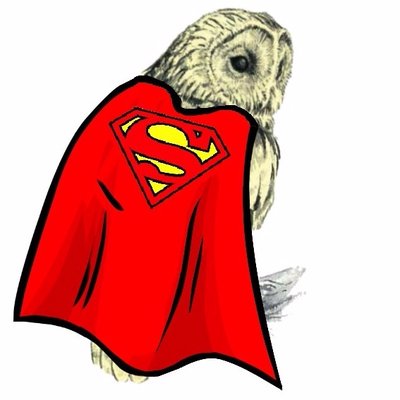 LaGrandeGufata's profile image