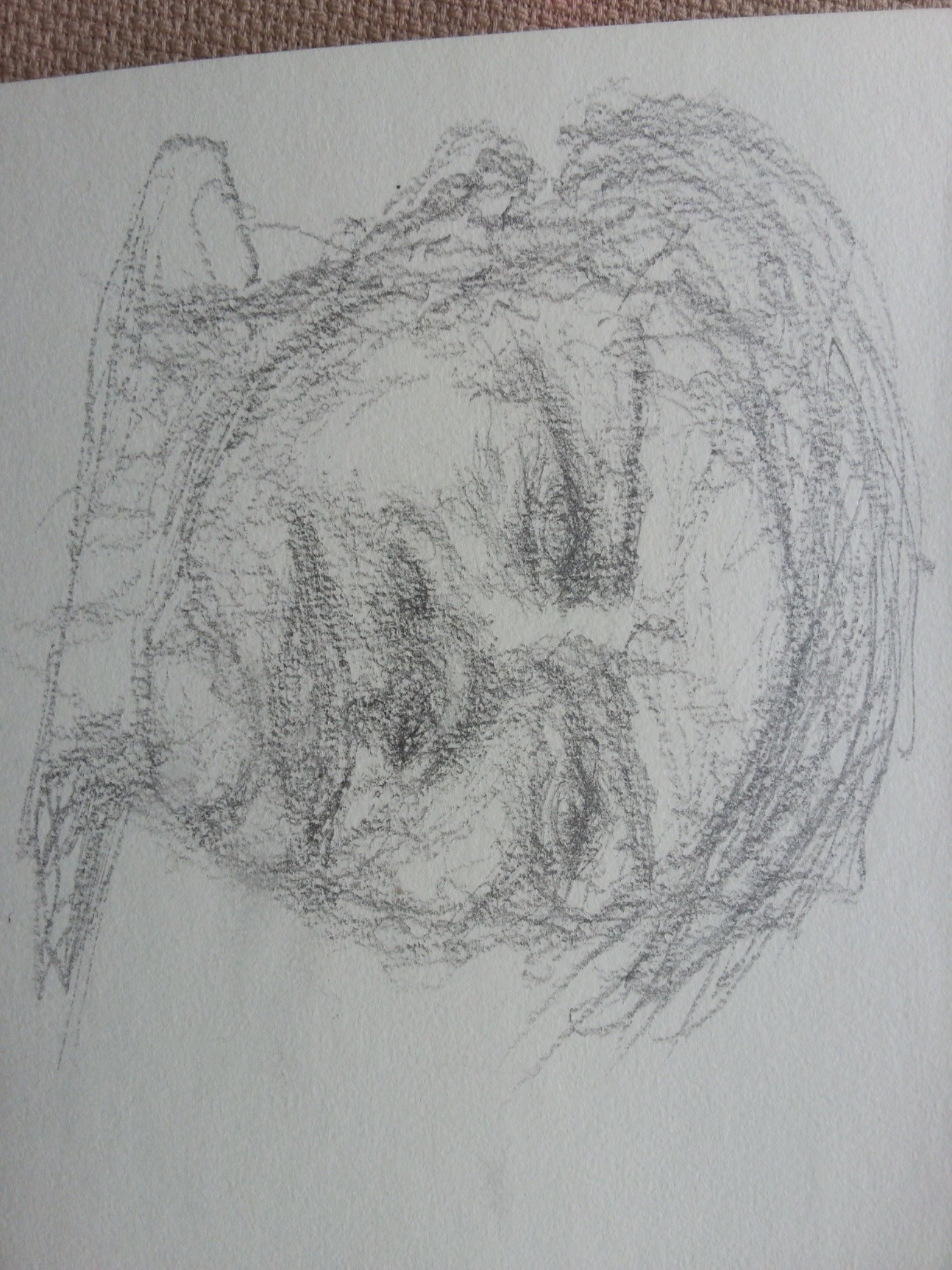 MehmetCeladetEl's profile picture. 