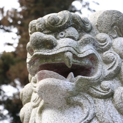 基本的には写真垢です！
モノクロがメインですが、たまにモノクロ以外も投稿します。
無言フォロー失礼いたします。
もっと写真がうまくなりたい！
https://t.co/8bSF92T79lもぜひお願いします。こちらはカラーメインです。