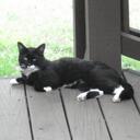 Ramona Roberts - @mtnesternow - Twitter