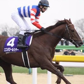 競馬に係る事を呟いています。

2022年の回収率100％超えでフィニッシュ！
メルマガ登録者5000名超！

大胆な切り馬予想で有力馬ぶった切ります。

メールマガジン【回収率UP講座：無料】
https://t.co/cdMuCkJsrU