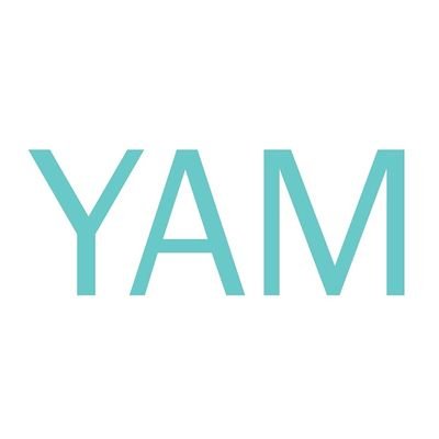 Young Affiliates of the Mint, an affiliate group of The Mint Museum for young professionals