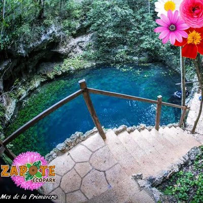 Ecoparque en la ruta de los cenotes, Puerto Morelos. Quintana Roo, México. 🇲🇽